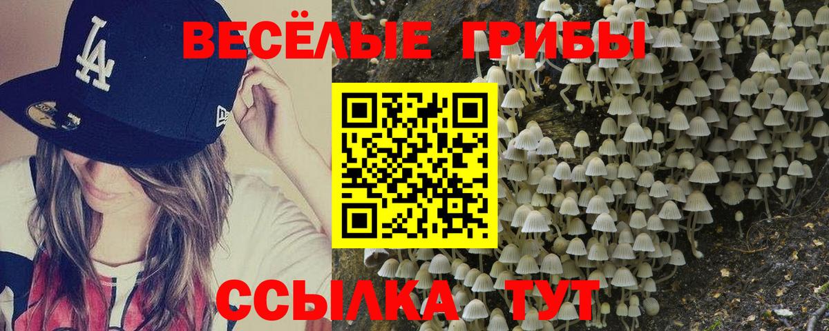 Псилоцибиновые грибы мицелий  Галлюциногенные грибы прущие грибы  Дербент  Вход с VPN 